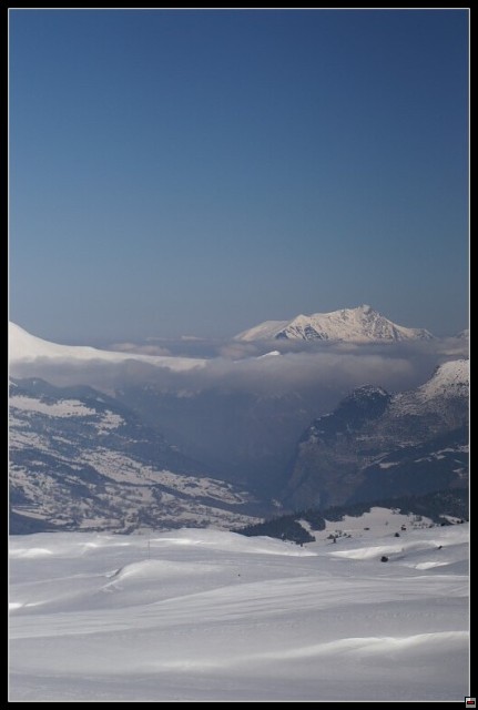img00039.jpg
