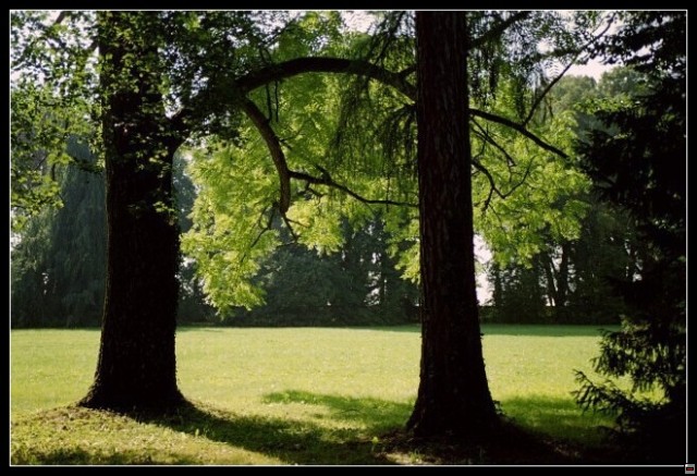 img00065.jpg