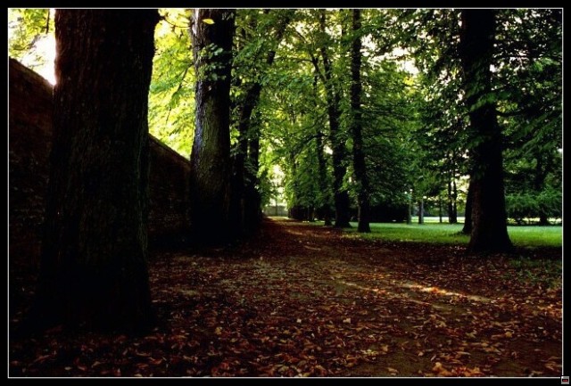 img00066.jpg