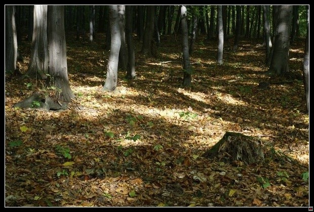 img00073.jpg
