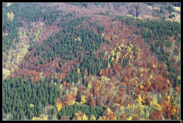 img00074.jpg